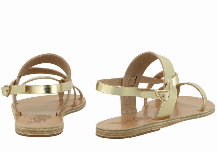 Sandales Bride Arrière Ancient Greek Sandals Alethea Leather   | XIS-4889212